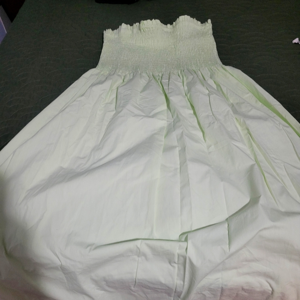 Mint Green Zara Skirt/Dress